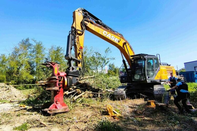 A412 ils tuent des arbres de 200 ans