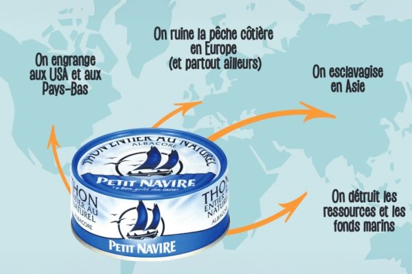 Le capital raconté