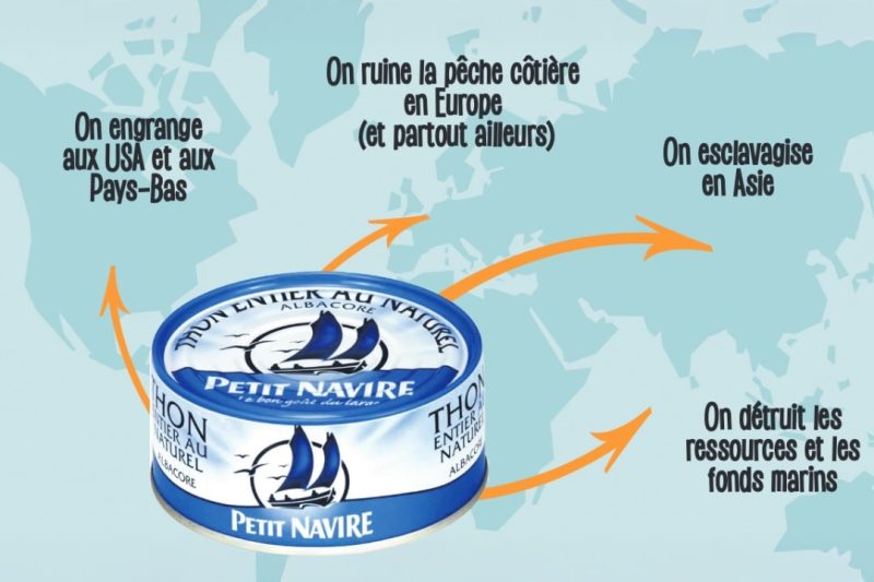 Le capital raconté