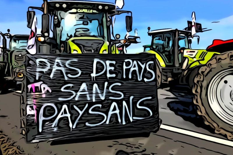 Sans titre-1(41)