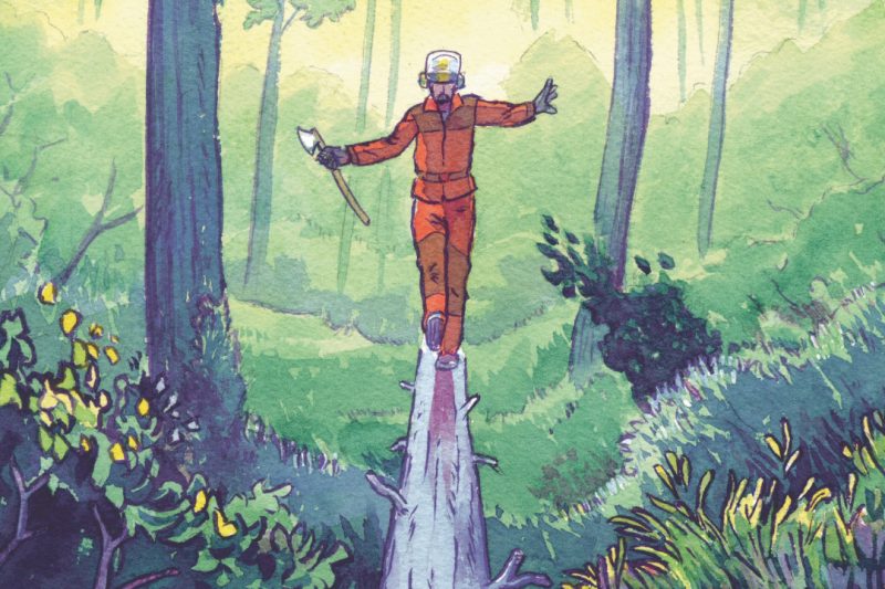 promenons nous dans les bois