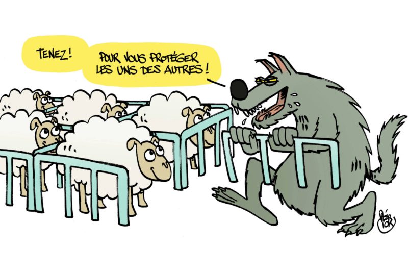 Sans titre-6(15)