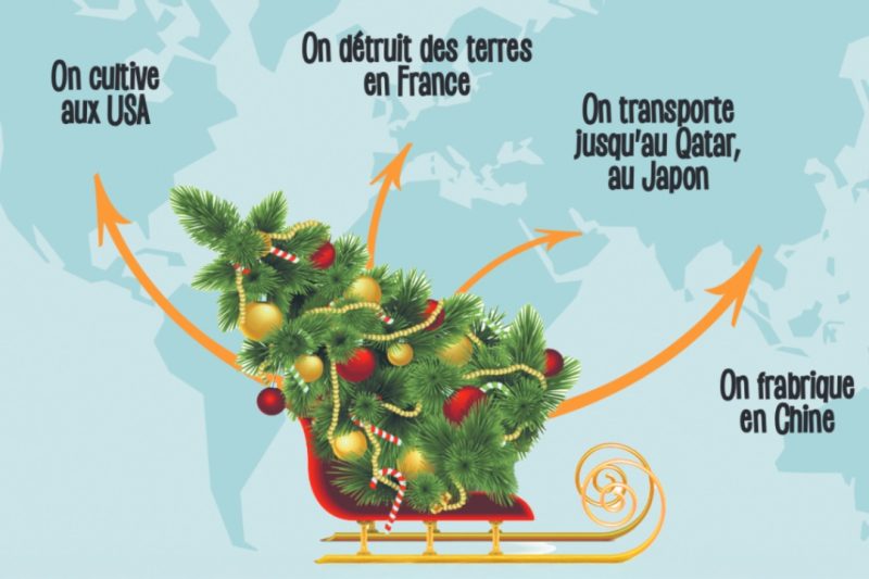 Sapin