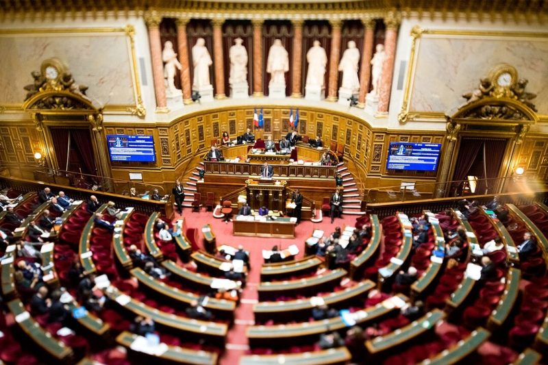 Sénat, Duplomb