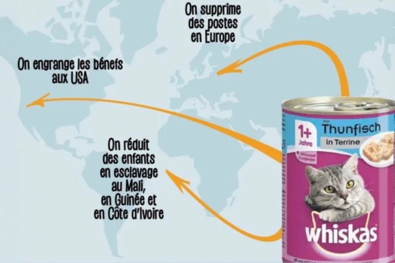 whiskas